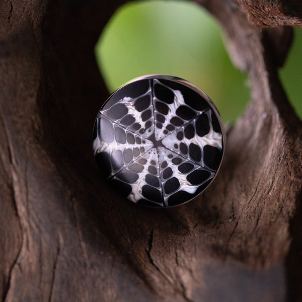 spider shell ring - sera sera